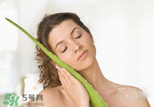 蘆薈涂在臉上發(fā)癢是怎么回事？蘆薈涂在臉上發(fā)癢怎么辦？