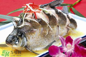 魚有禽流感嗎？吃魚會得禽流感嗎？