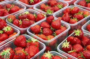 草莓爛了點(diǎn)皮可以吃嗎？草莓表皮發(fā)白是爛了嗎？