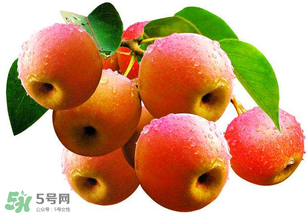 南國梨為什么有酒味？南果梨有酒味能吃嗎？