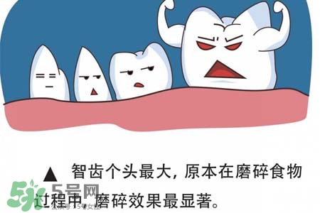 智齒經(jīng)常發(fā)炎怎么辦？智齒反復(fù)發(fā)炎腫痛怎么辦？