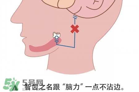 智齒會引起耳鳴嗎？耳鳴跟智齒有關(guān)系嗎？
