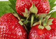 吃草莓大便會(huì)變紅嗎？吃草莓大便變紅是怎么回事？