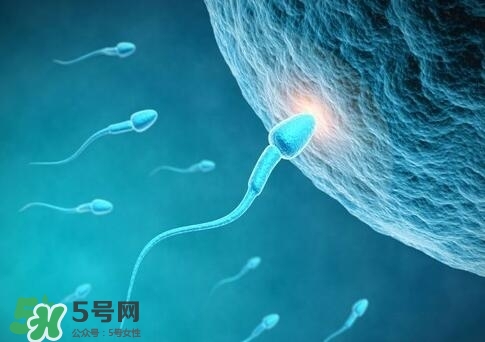 如何提高精子質量與成活率？精子質量怎么調理？