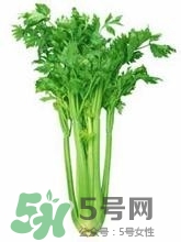 負卡路里的食物有哪些？負卡路里食物真的吃不胖嗎？