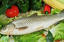 草魚能生吃嗎？草魚可以直接生吃嗎？