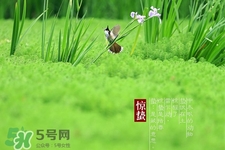 驚蟄吃什么蔬菜好？驚蟄節(jié)氣養(yǎng)生吃什么蔬菜？