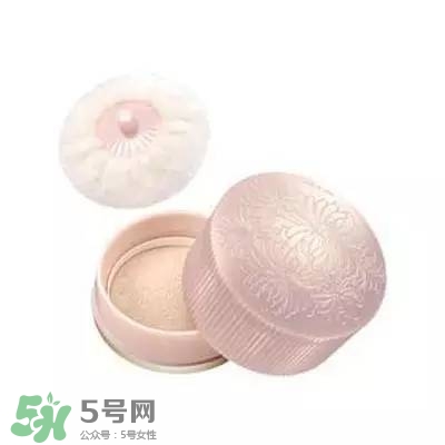 2017珠光散粉哪個牌子好？2017珠光散粉推薦