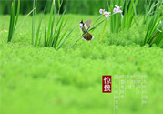 驚蟄吃什么蔬菜好？驚蟄節(jié)氣養(yǎng)生吃什么蔬菜？