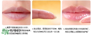 愛麗小屋唇部磨砂膏怎么樣？愛麗小屋唇部磨砂膏和悅詩風吟哪個好？
