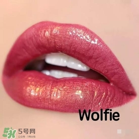 啞光和水潤(rùn)哪個(gè)好？啞光口紅和水潤(rùn)口紅區(qū)別
