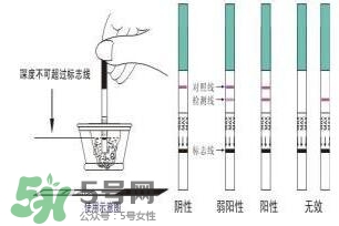 驗(yàn)孕試紙準(zhǔn)嗎？驗(yàn)孕試紙?jiān)趺纯辞髨D解