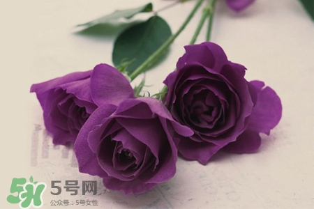 4月份適合種什么花？四月份種什么花好？