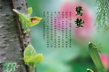 驚蟄節(jié)氣吃什么水果？驚蟄養(yǎng)生吃什么水果好？