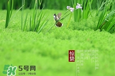 驚蟄如何養(yǎng)生？驚蟄前后如何養(yǎng)生？