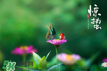 驚蟄如何養(yǎng)生？驚蟄前后如何養(yǎng)生？