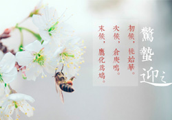 驚蟄怎么打小人？驚蟄如何打小人？