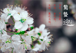 驚蟄為何要打小人？驚蟄為什么要打小人？