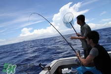 三月份可以釣魚了嗎？三月份好釣魚嗎？