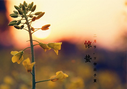 驚蟄能去廟里祈福嗎？驚蟄要去廟里祈福嗎？