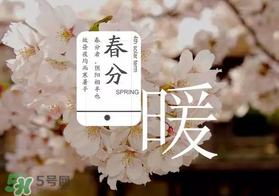 春分種什么菜？春分適合種什么菜？