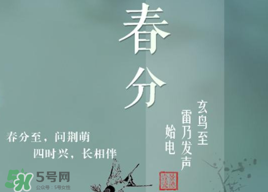 春分種什么菜？春分適合種什么菜？