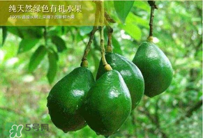 牛油果可以放多久？牛油果放冰箱能放多久？