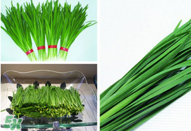 驚蟄前后可以種什么？驚蟄前后種什么蔬菜？