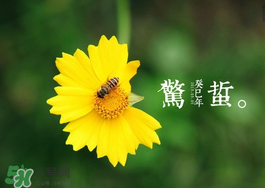 驚蟄前后可以種什么？驚蟄前后種什么蔬菜？
