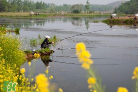 驚蟄前后好釣魚(yú)嗎？驚蟄前后釣魚(yú)技巧