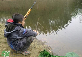 驚蟄能釣魚嗎？驚蟄釣什么魚好？