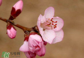 2017年春分是什么時(shí)候？2017年春分是幾月幾號(hào)？