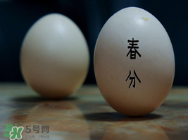 春分為什么能豎蛋？春分豎蛋原理
