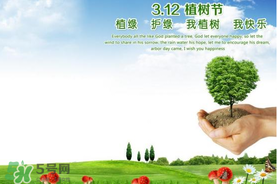 植樹節(jié)為什么要種樹？植樹節(jié)種樹的意義