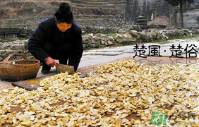 2017年什么時候攔社？2017年新墳攔社是哪一天？