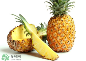 三月份什么水果上市？3月份什么水果上市？