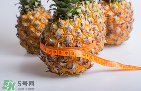 三月份什么水果上市？3月份什么水果上市？