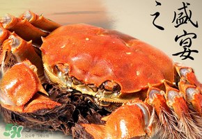 3月份還有大閘蟹嗎？3月份的大閘蟹能吃嗎？