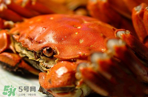 三月份吃什么螃蟹？3月份吃什么螃蟹？