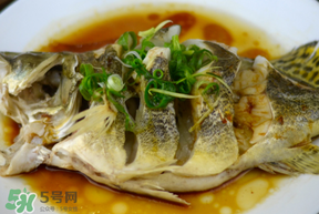 三月份吃什么魚？3月份吃什么魚好？