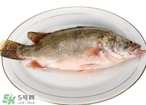 三月份吃什么魚？3月份吃什么魚好？
