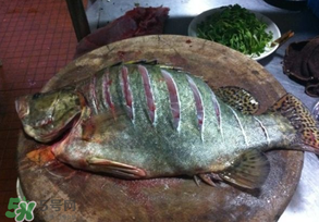 三月份吃什么魚？3月份吃什么魚好？