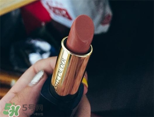 雅詩蘭黛envy110多少錢？雅詩蘭黛傾慕唇膏110價(jià)格