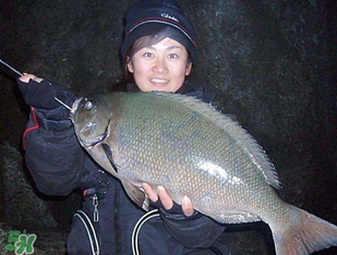 3月份釣魚(yú)用什么餌料？三月份釣魚(yú)用什么魚(yú)餌？