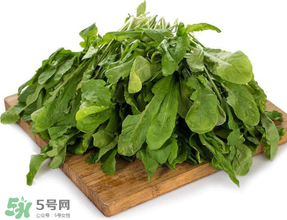 薺菜葉子黃了能吃嗎？薺菜發(fā)黃能吃嗎？