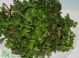薺菜怎么洗？薺菜怎么洗才干凈？