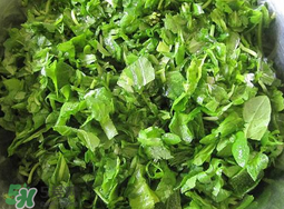 薺菜怎么洗？薺菜怎么洗才干凈？