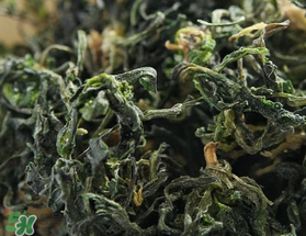 ?薺菜曬干了怎么做好吃？薺菜曬干泡茶可以吃嗎？