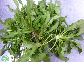 薺菜怎么保鮮？新鮮薺菜如何保鮮？