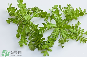 薺菜是什么菜？薺菜是什么野菜？